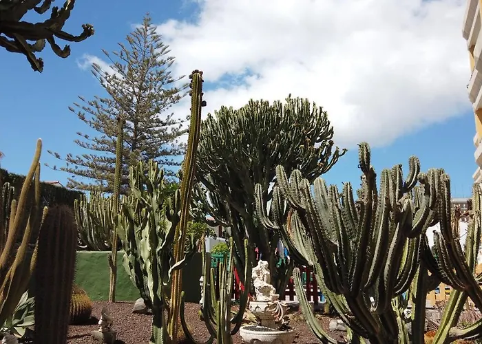 Apartman Montemar Playa del Inglés